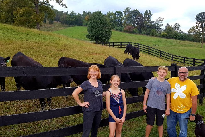 Private Walking Tour of a Real Working Cattle Ranch - Photo 1 of 16